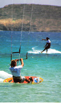 surf